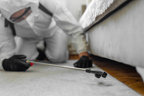 Professional Bed Bug Control technician working in Melody Hill, IN
