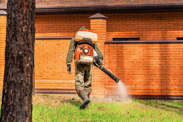 Trusted Rodent Control service in Melody Hill, IN - Nex Pest Control